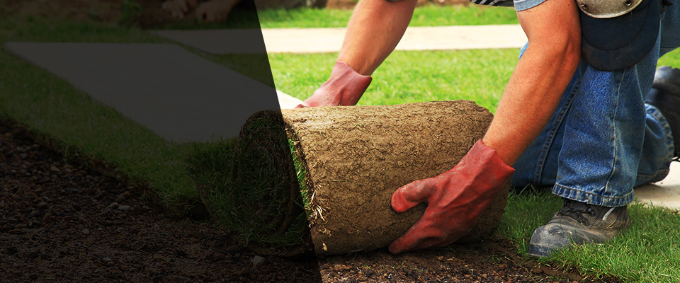Lastrup Landscapers